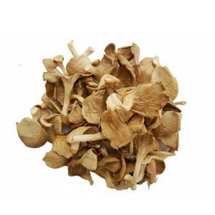 Dried Oyster Mushrooms