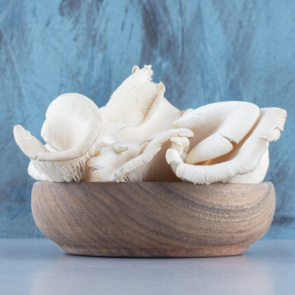Oyster Mushroom